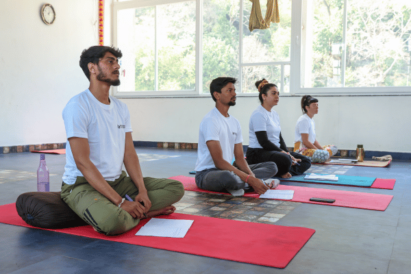 100 Hour Yoga ttc in Rishikesh, india