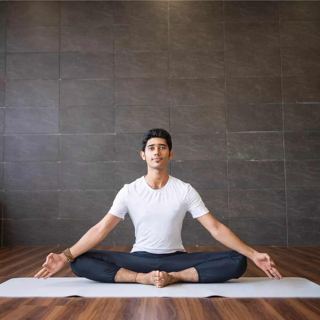 yogi