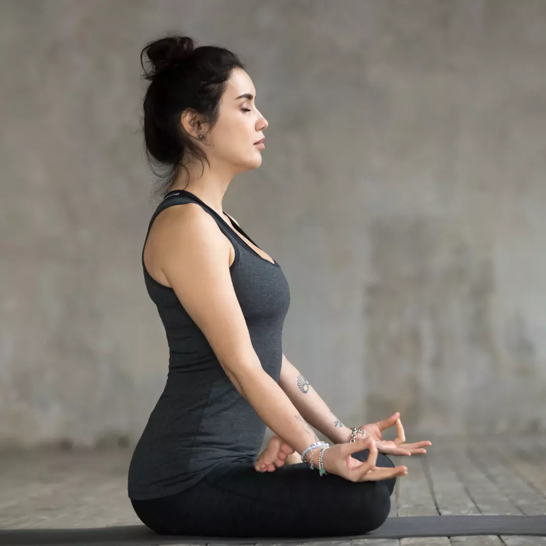 yogi