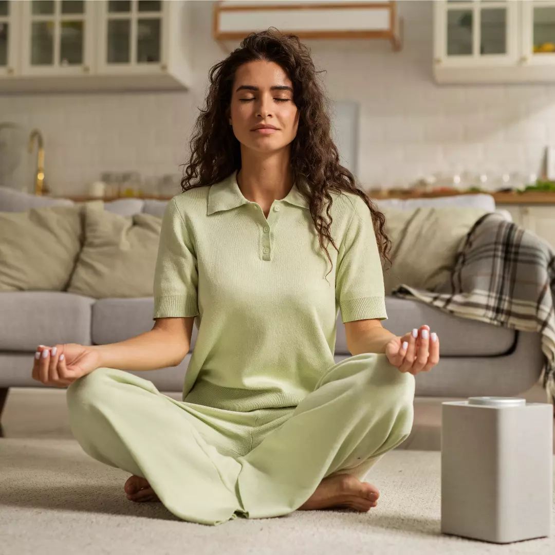 yogi