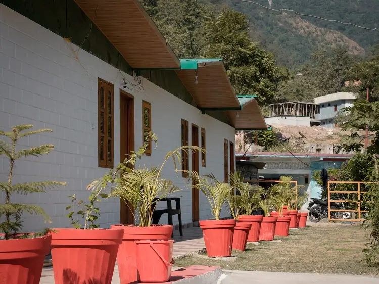Cottage rooms with potted plants at Rishikesh Yog Kendra campus